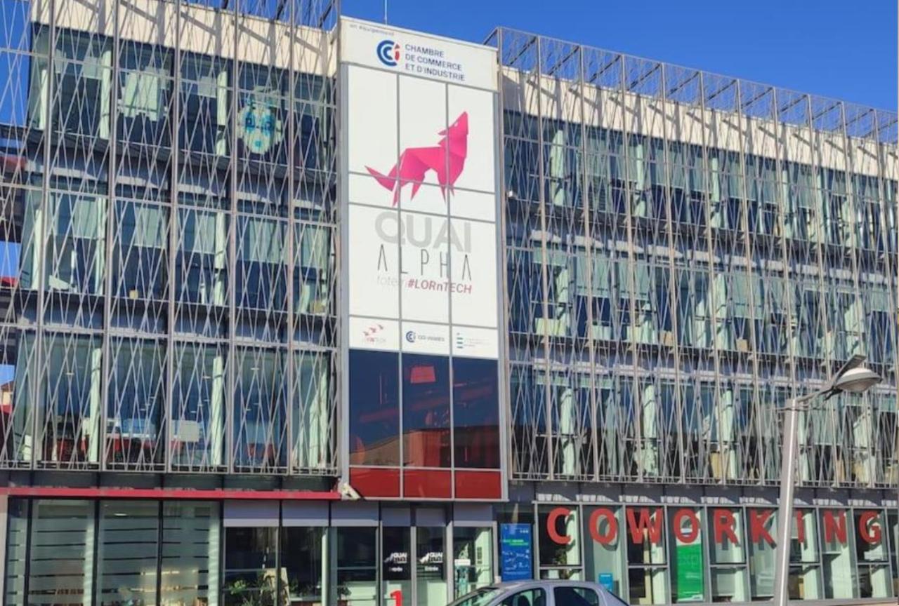 Logement Spacieux - Face A La Gare Et Centre-Ville Épinal Eksteriør billede